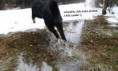 /album/gajus-8-mesicu/a-2-jpg/